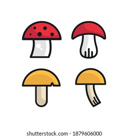 Set cartoon mushrooms vector illustration isolated on white background. Chanterelle, honey fungus, amanita muscaria, boletus, oyster, parasol mushroom.