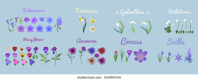 Set Cartoon Narcissus Pansy Pulmonaria Flowers Stock Vector (Royalty ...