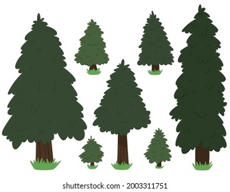 Set Cartoon Nature Tree Fir Isolated on White Background. Vector