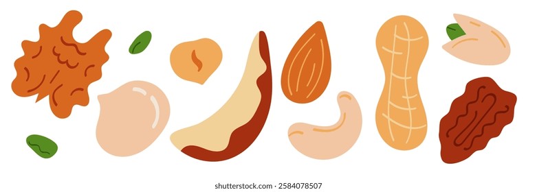 Set of cartoon nuts. Organic healthy products for snack