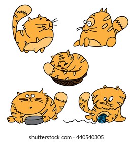 Set of cartoon orange cat in different poses.Vector hand drawn illustration isolated on white background. 