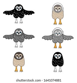 Set of cartoon owls. Space owl, owl spread its wings. Vector illustration	