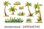 Set of cartoon palm trees on white background. Tropical plants, decoration for summer, beach. Vector elements