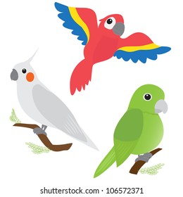 Set of cartoon parrots - macaw, corella, amazon