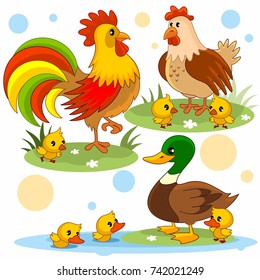 A set of cartoon pictures with animals for children with a rooster, chicken, chickens, duck and ducklings.