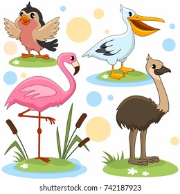 A set of cartoon pictures with birds for children with emu, flamingo, pelican and sparrow.