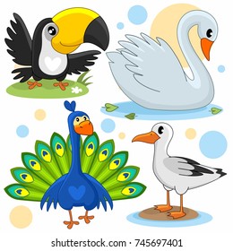 A set of cartoon pictures for children with images of birds, toucan, peacock, gull and white swan.