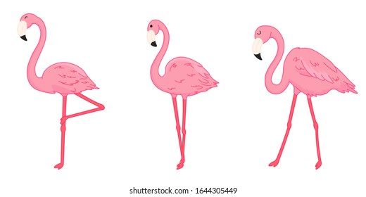 set of cartoon pink flamingos, isolated cute wild tropical birds, editable vector illustration for kids decoration, print, stickers