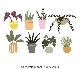 set with cartoon plants. colorful vector illustration, flat style. design for cards, print, poster, logo