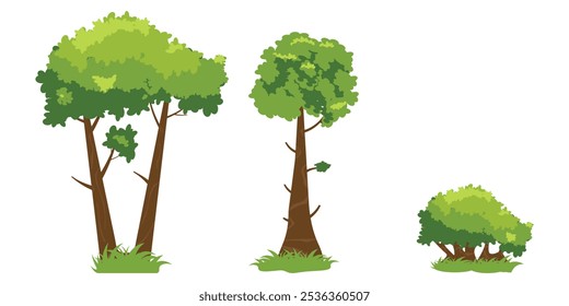 Set of cartoon plants. Trees and bush.On a white background.