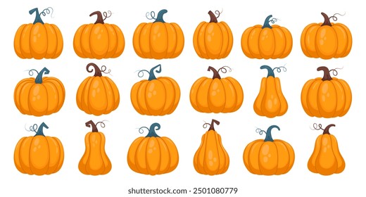 Set of cartoon pumpkin illustrations. Cute hand drawn pumpkins, vector illustrations