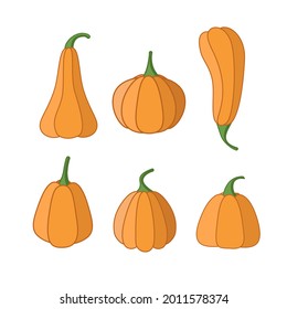 A set of cartoon pumpkins. Pumpkins of different shapes, vector illustration of the autumn vegetable harvest