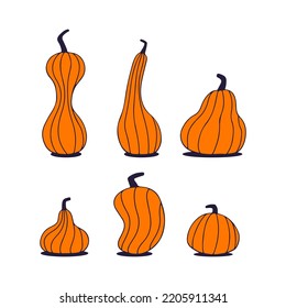 Set of cartoon pumpkins of different shapes. Vector illustration.