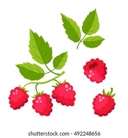 Set of cartoon raspberry with green leaves isolated on white background. Bright berries branch. Cute illustration used for magazine or book, poster and card design, menu cover, web pages.