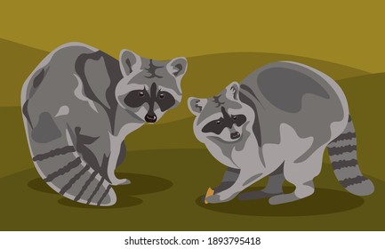 set of cartoon and realistic gray raccoons in different poses. wild forest predators and the fur of a gray rodent, a mammal. Icon set isolated vector illustration