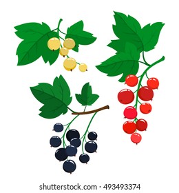 Set of cartoon red, black and white currant berries with green leaves isolated on white background. Bright berries and berries branch.