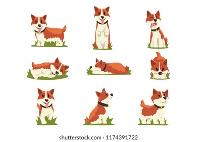 Set of cartoon red-haired corgi dogs