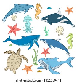 Set of cartoon sea creatures. Marine mammals illustration. Vector illustration