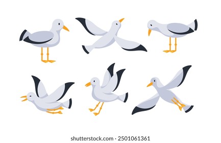 Set of cartoon seagulls standing and flying with spread wings