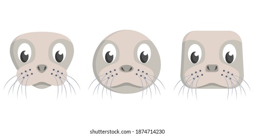 Set of cartoon seals. Different shapes of animal heads.