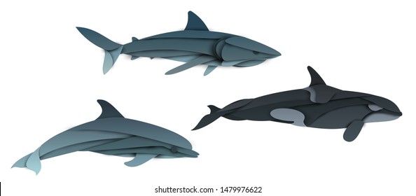 Set of cartoon shark, dolphin, killer whale in trendy paper cut craft graphic style. Modern design character isolated on white background. Colorful creative vector illustration.