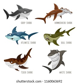 Set of cartoon sharks with different emotions isolated on white background. Vector illustration