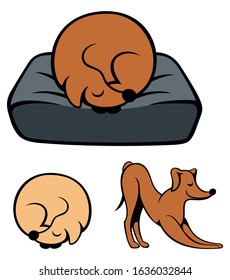 Set of cartoon style sleeping dogs, isolated on white background.