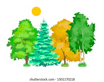 Set of cartoon trees. Cute plants, green, yellow eco aspen, maple, oak, birch trees in summer and autumn seasons spruce. Ecology, pure nature, garden plant landscape. Vector illustration.
