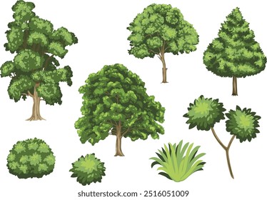 Set of cartoon trees on white background