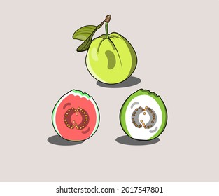 A set of cartoon type guava illustration.
