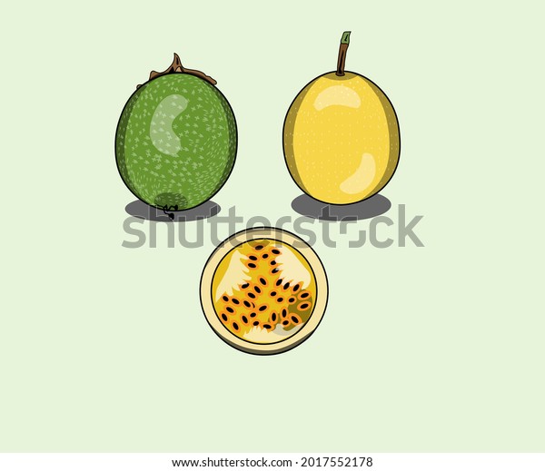 Set Cartoon Type Passion Fruit Illustration Stock Vector Royalty Free 2017552178 Shutterstock 5711