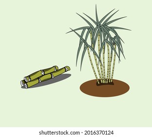 Eine Reihe von Cartoons Typ Sugarcane Illustration. 