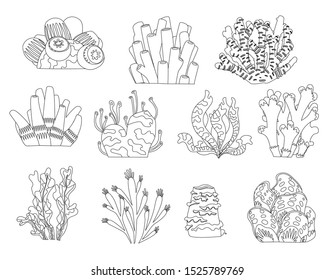 Set of cartoon underwater plants and creatures coloring book page. Vector isolated corals and algae.