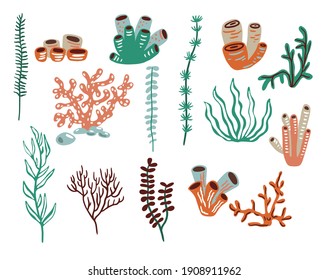 Set of cartoon underwater plants and creatures. Vector isolated corals and algae.