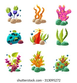 Set cartoon underwater plants   creatures  Vector isolated corals   algae 