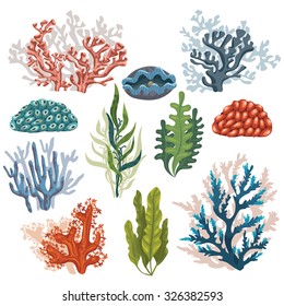 Set cartoon underwater plants   creatures  Vector isolated corals   algae 