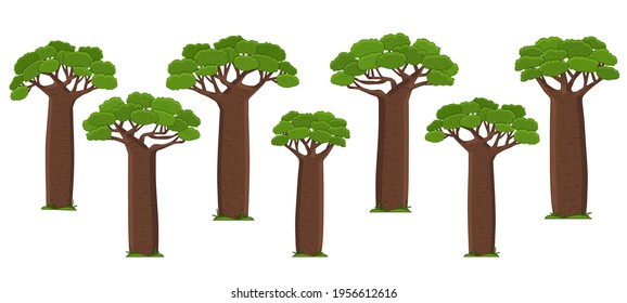 Set of Cartoon vector cute outline Madagascar African baobab green brown trees. Doodle isolated hand drawn illustration on white background