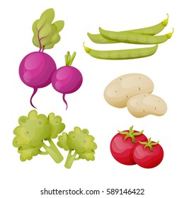 Set of cartoon vector food on a white background. Vegetables beet, potatoes, broccoli, beans, tomato vector isolated elements on a white