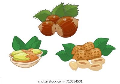 set of cartoon vector illustration of nuts, walnuts, peanuts, pistachios,hazelnut