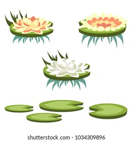 Set of cartoon vector water lilies of different type