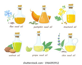 Set of cartoon vegetable virgin oils in glass jars. Flat vector illustration. Colorful mustard, walnut, pumpkin, grape, chia seed oils in white background. Food, vegan, natural, health concept