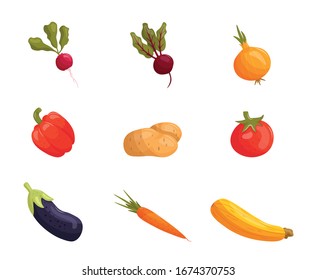 Conjunto de ilustraciones vectoriales de caricaturas aisladas en fondo blanco. Cocina vegetariana cruda. Raíz, remolacha, cebolla, pimiento, papa, tomate, berenjena, zanahoria, zucchini