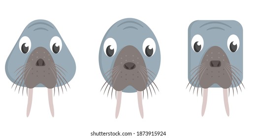 Set of cartoon walruses. Different shapes of animal faces.