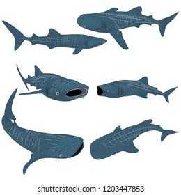 Set of Cartoon whale shark isolated on white background. Vector illustration