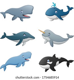 Set of cartoon whale. Vector illustration