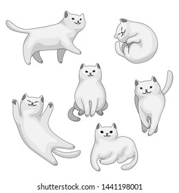 Set of cartoon white cats. Cute pets on white background.