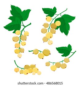 Set of cartoon white currant berries with green leaves on a isolated white background. Bright berries and berries branch.