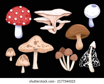 Set of cartoon wild mushrooms that can be eaten or either toxic and dangerous. Various shapes of mushroom drawing with flat vector art illustration.