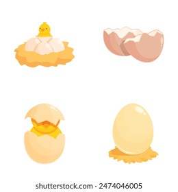 Set of cartoonstyle vector icons depicting various stages of a chicken's life cycle from egg to hatching