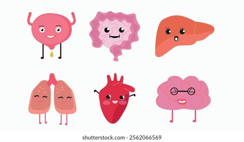 set of cartoon-styled internal organs including a bladder, intestines, liver, lungs, heart, and brain. Each organ is represented with a cheerful expression